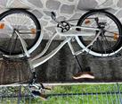 IMG_75391[4]
