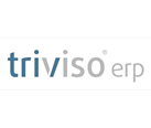 Triviso_erp_background2