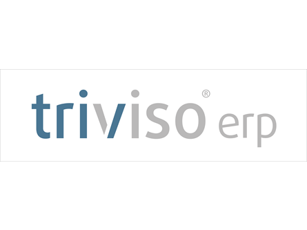 Triviso_erp_background2